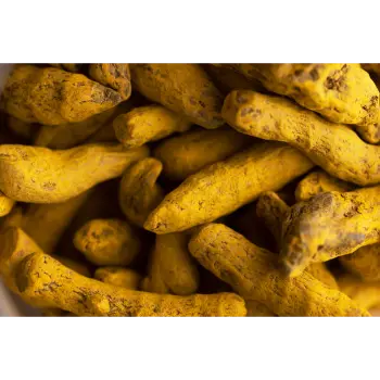 Natural Turmeric Finger wholesaler